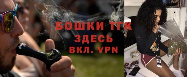 mdma Заводоуковск